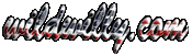 wildwilly.com